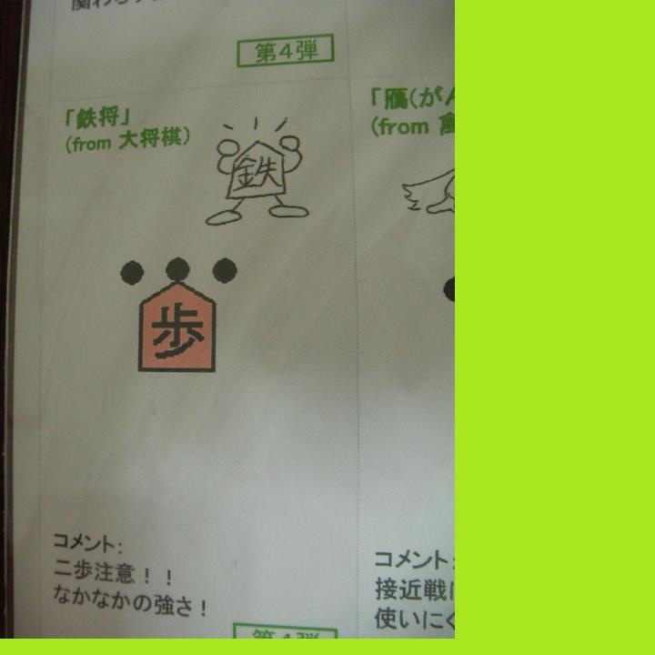 集大成将棋2019【第4弾】(送料込み)