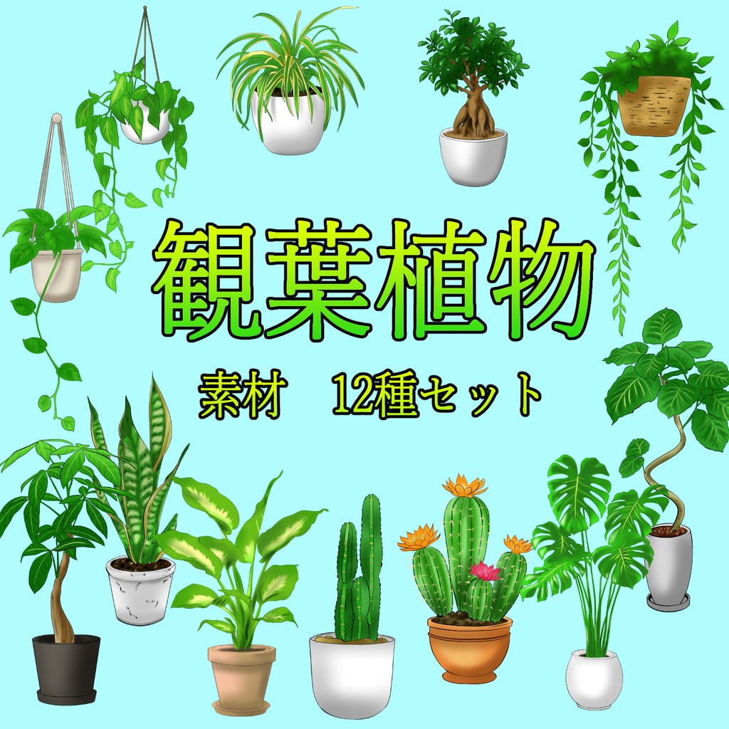 観葉植物 透過素材 12種セット 【12 Houseplant PNG Assets】