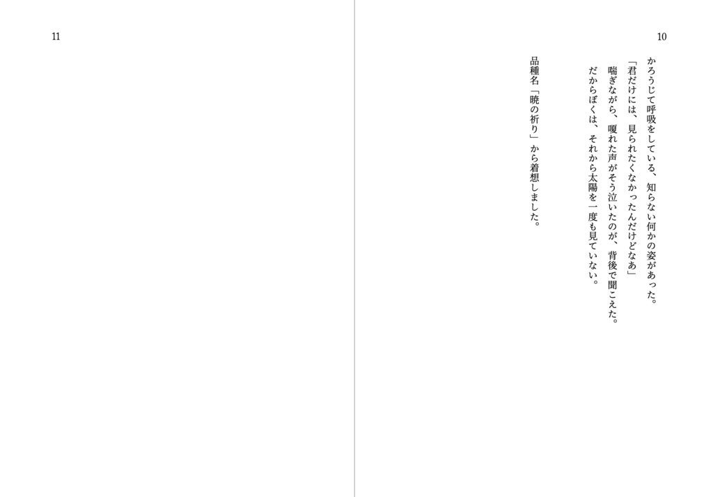 誕生花掌編集 花束 夏の束