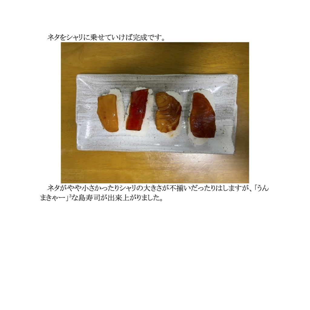 シマズシジャーナル1(紙媒体、あんしんBOOTHパックで送付)