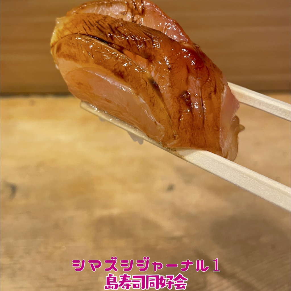 シマズシジャーナル1(PDFデータ)