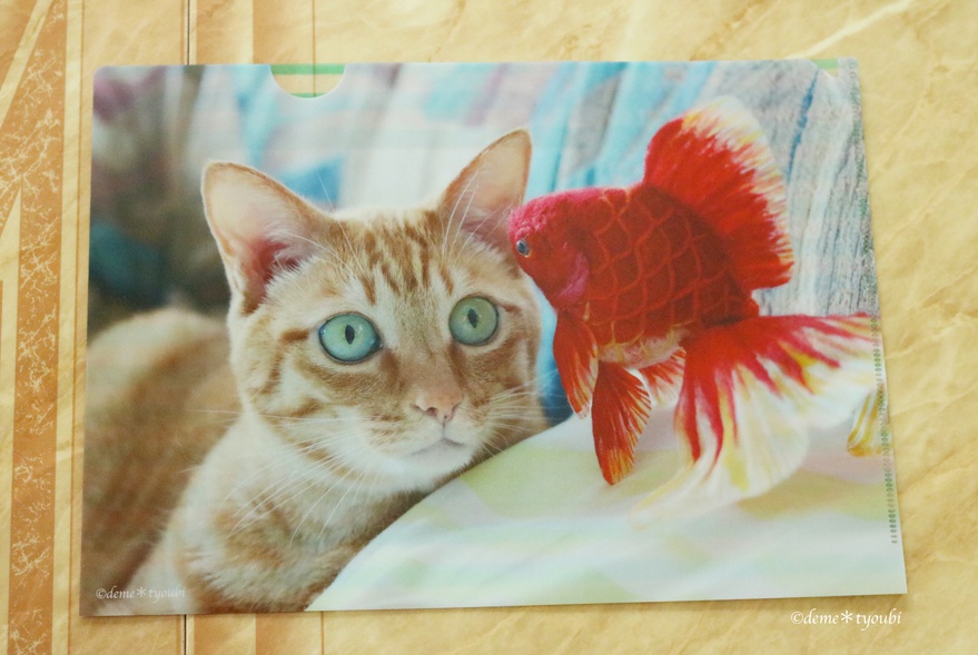 金魚と猫のクリアファイルB - deme＊tyoubi - BOOTH