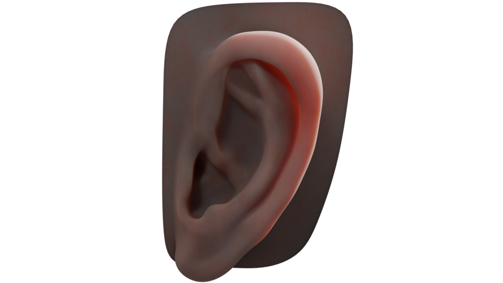 【無料版/支援版】リアルな耳の3D素材