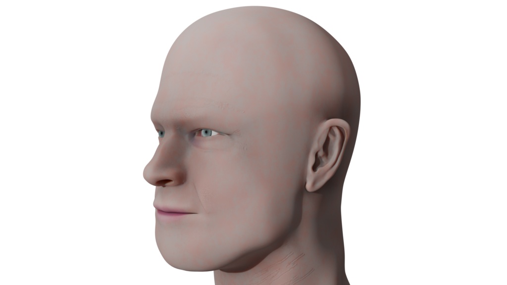 【無料版/支援版】リアルな耳の3D素材