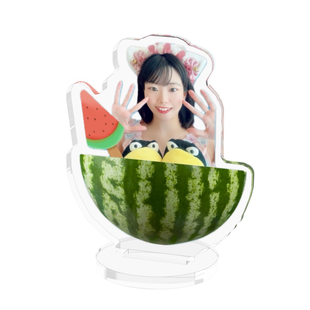 スイカとガーコ🍉🐦⬛
