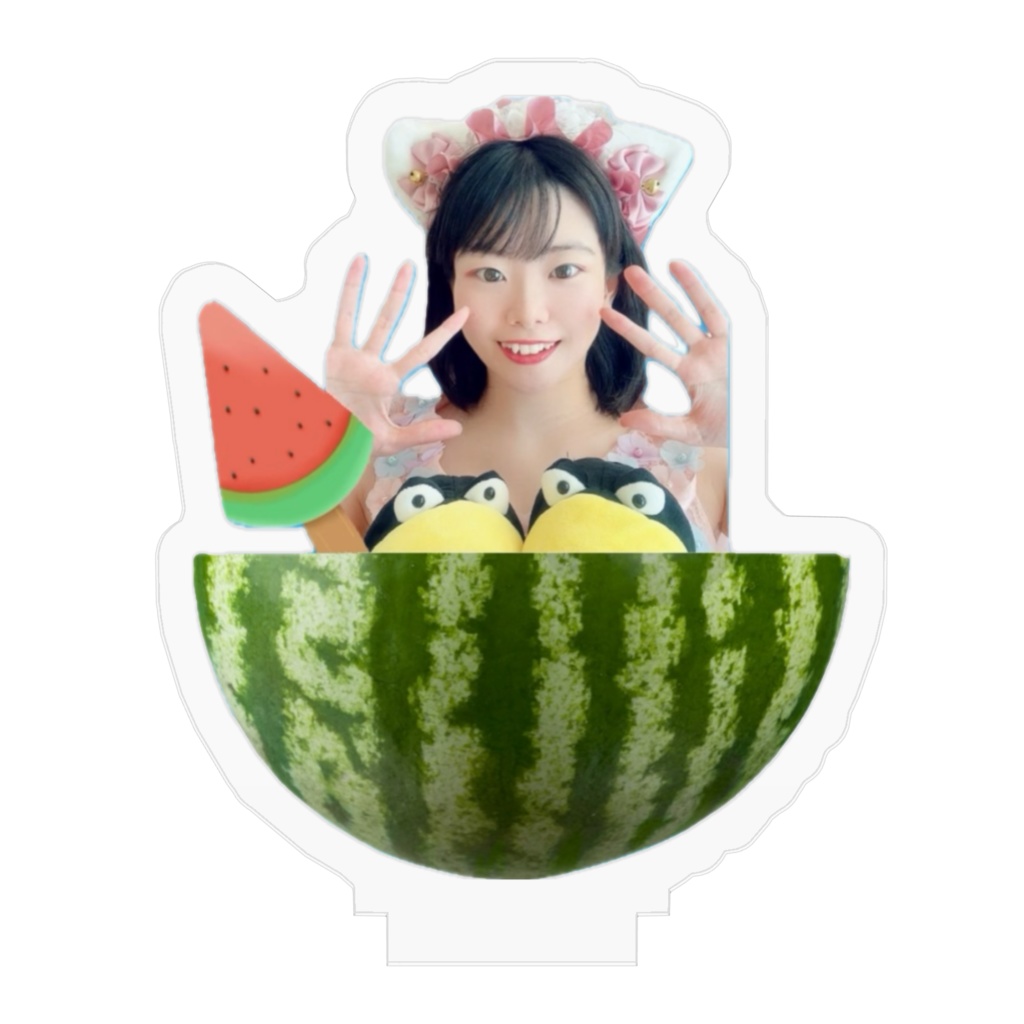 スイカとガーコ🍉🐦⬛