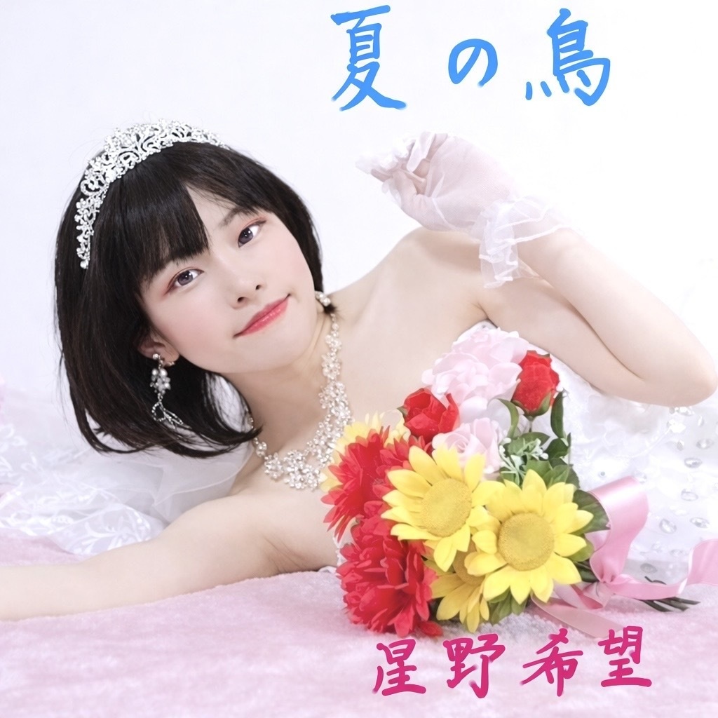 星野希望2ndアルバム『夏の鳥』💿🕊️CD制作応援 【サポータープラン】