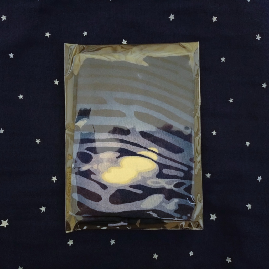 水の星座のブックカバー