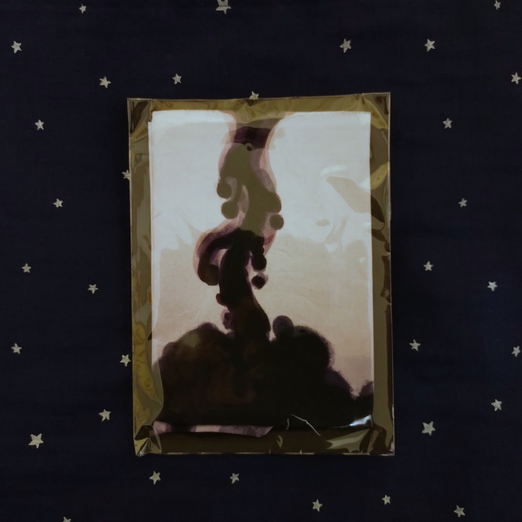 水の星座のブックカバー