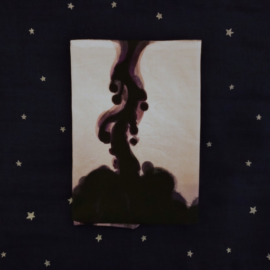 水の星座のブックカバー