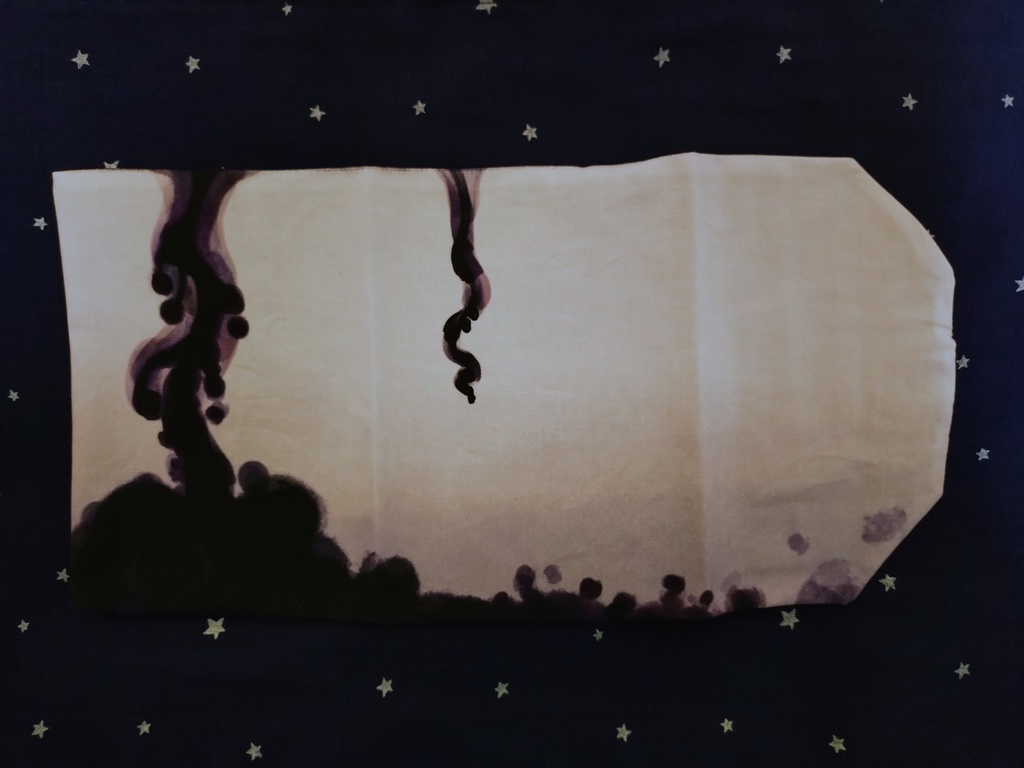 水の星座のブックカバー