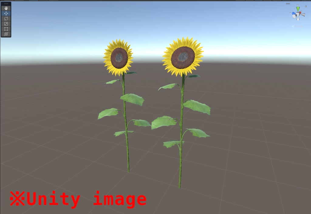3DCG【sunflower】ひまわり