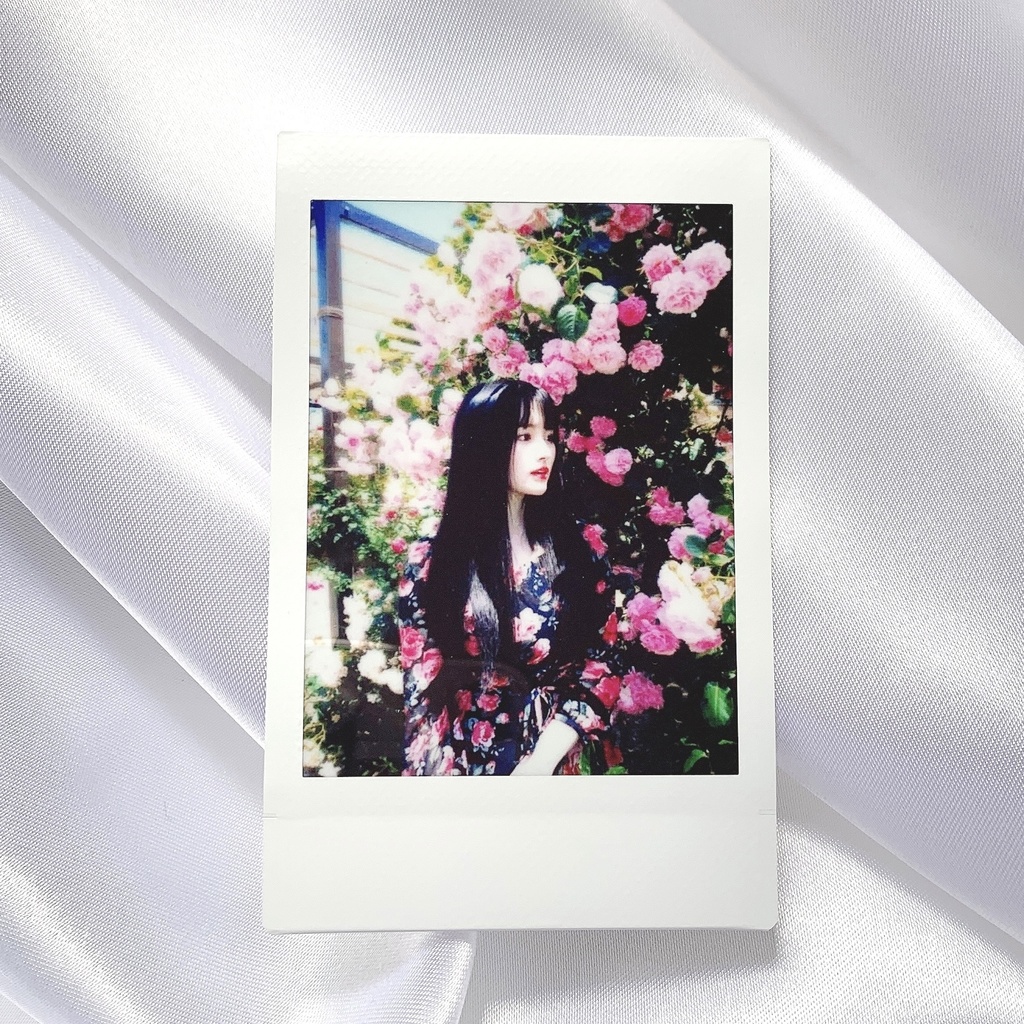 落書きなしチェキ バラ園1