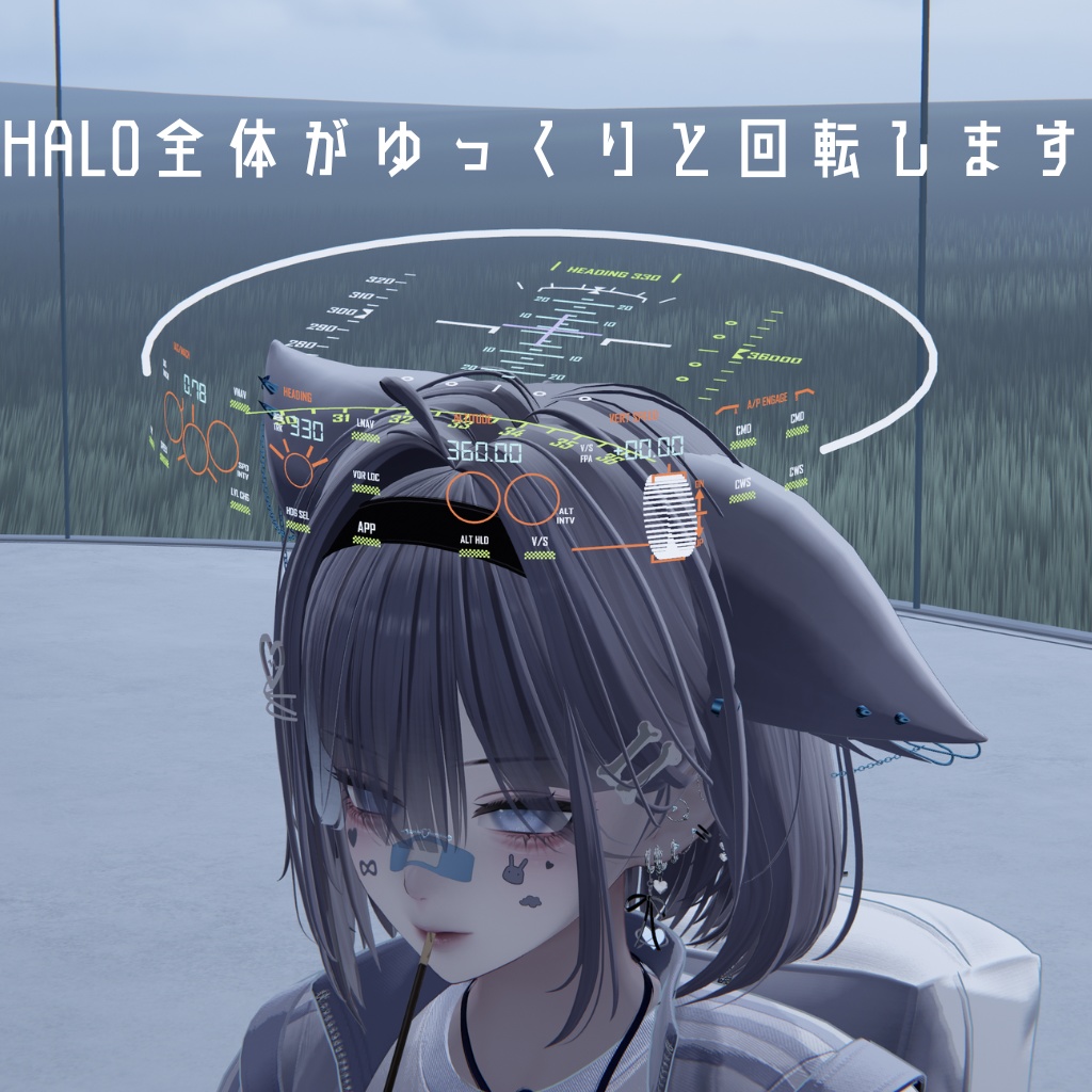 コックピット風HALO