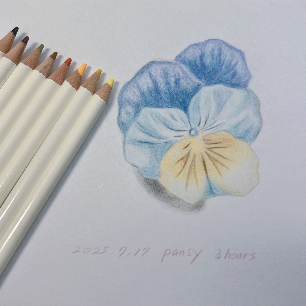 色鉛筆と書でおくる残暑お見舞い