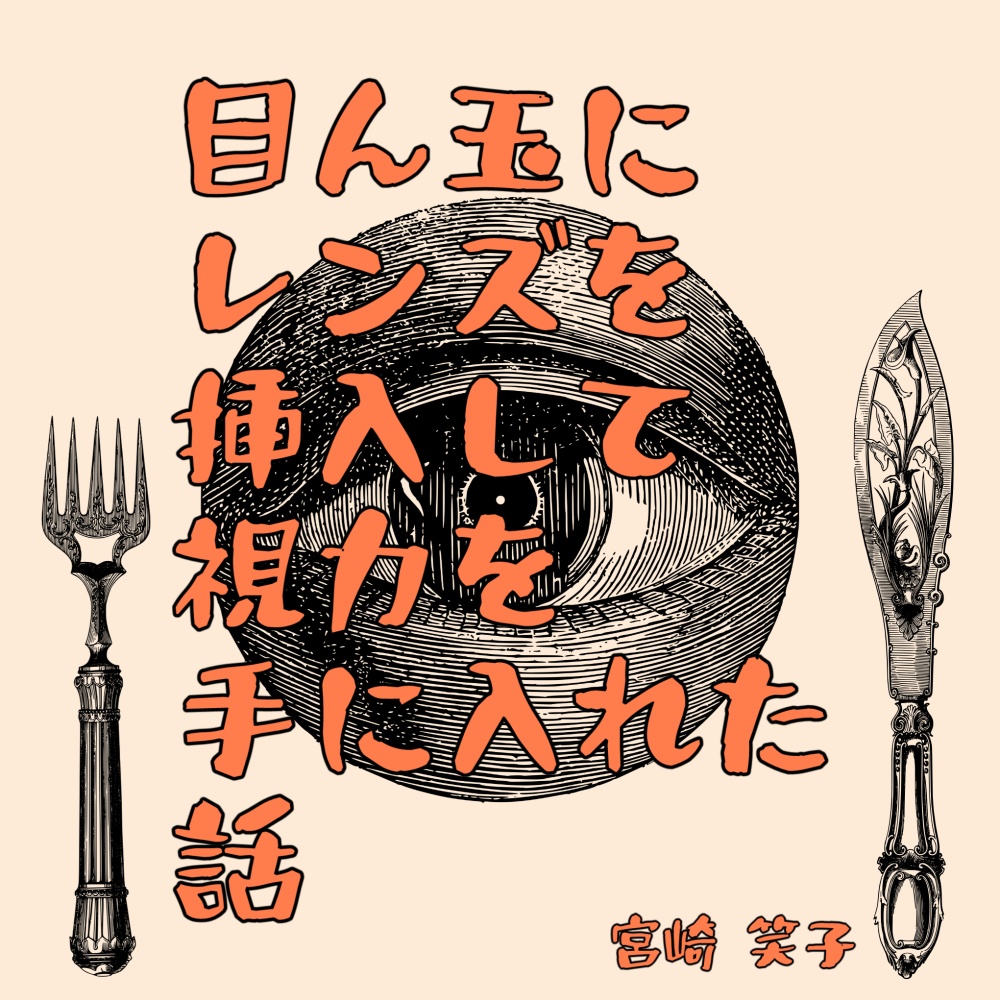 目ん玉にレンズを挿入して視力を手に入れた話