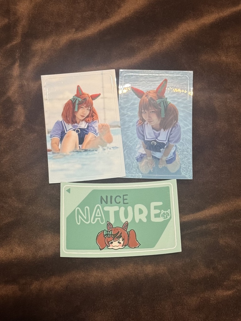 icｶｰﾄﾞステッカー3種セット【ランダム写真付き】【ナイスネイチャ】