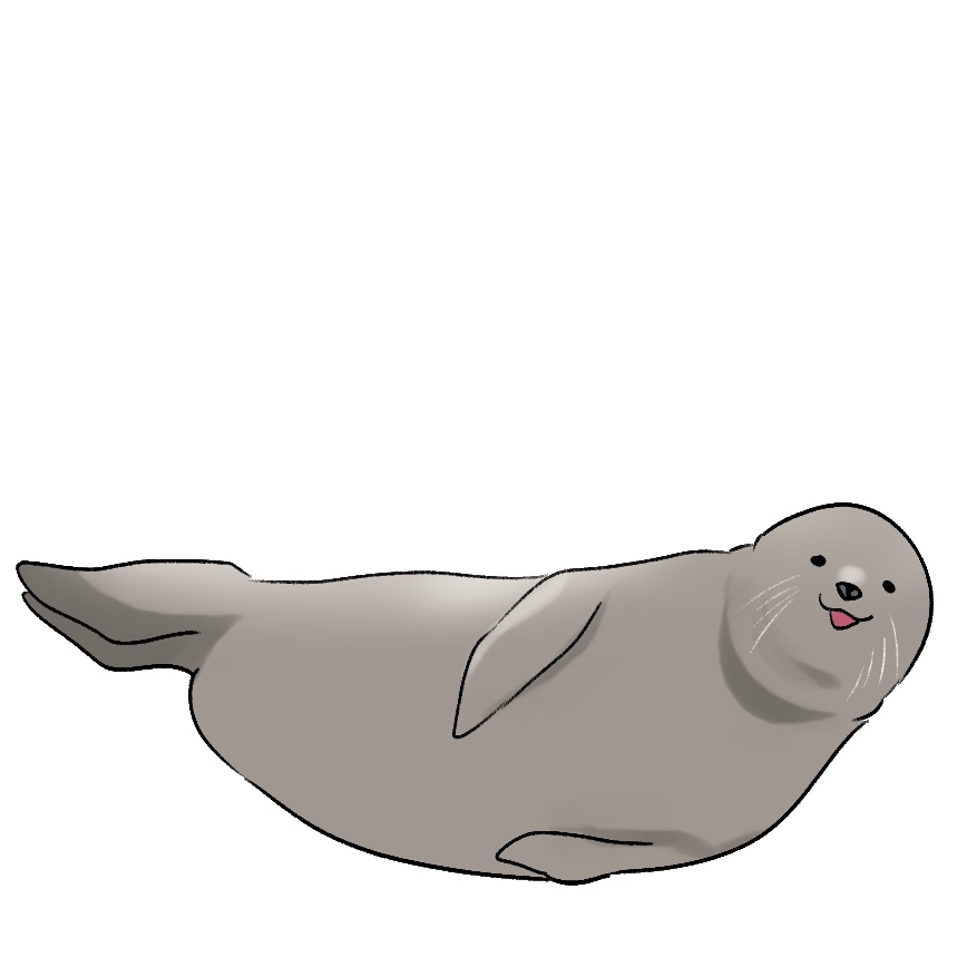 アザラシ