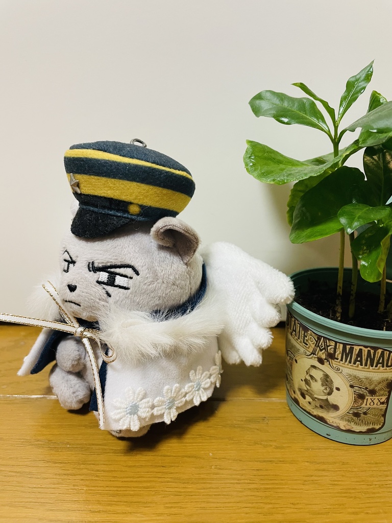 てんし〜꒰ঌ🤍໒꒱〜