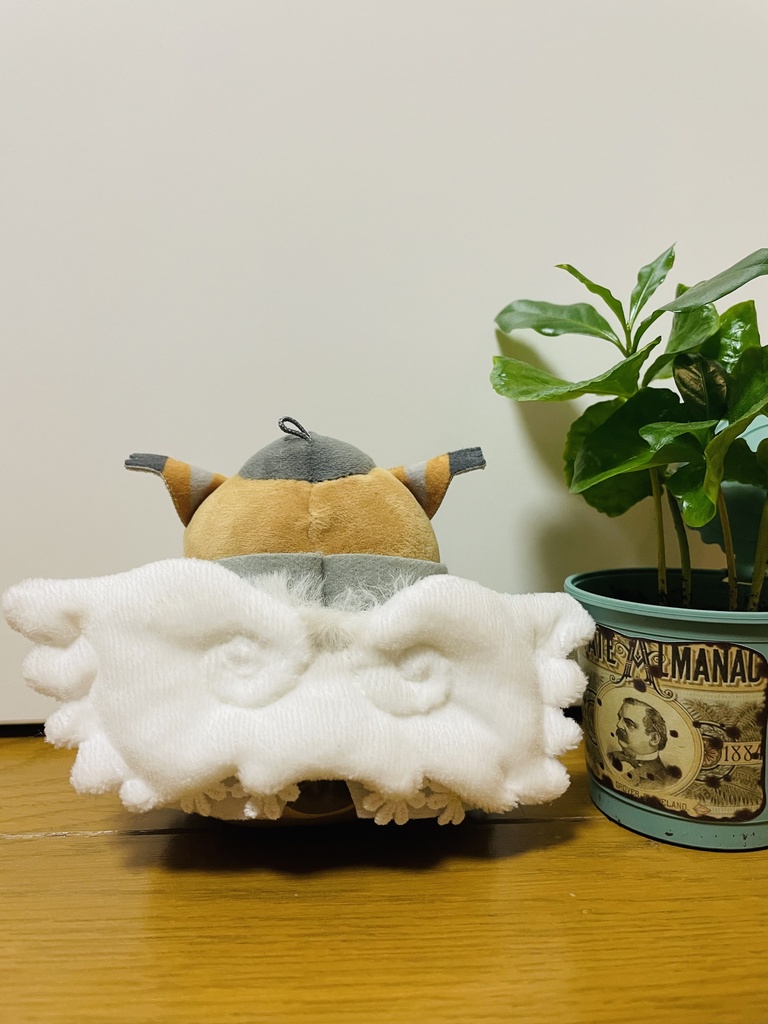 てんし〜꒰ঌ🤍໒꒱〜