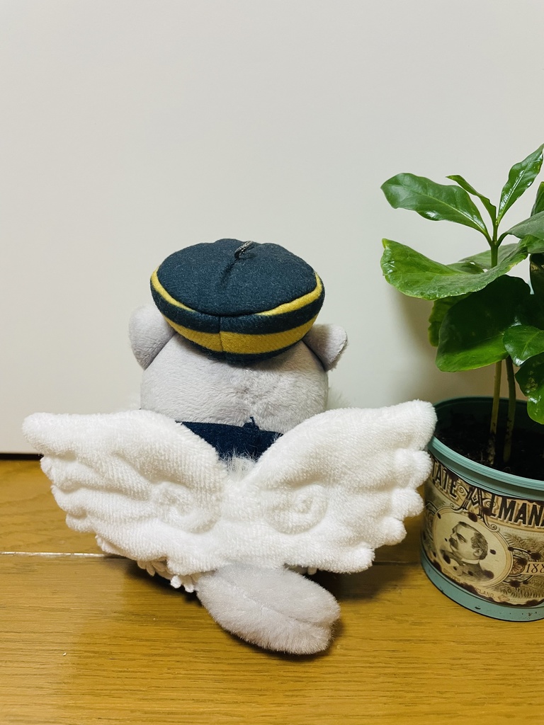 てんし〜꒰ঌ🤍໒꒱〜