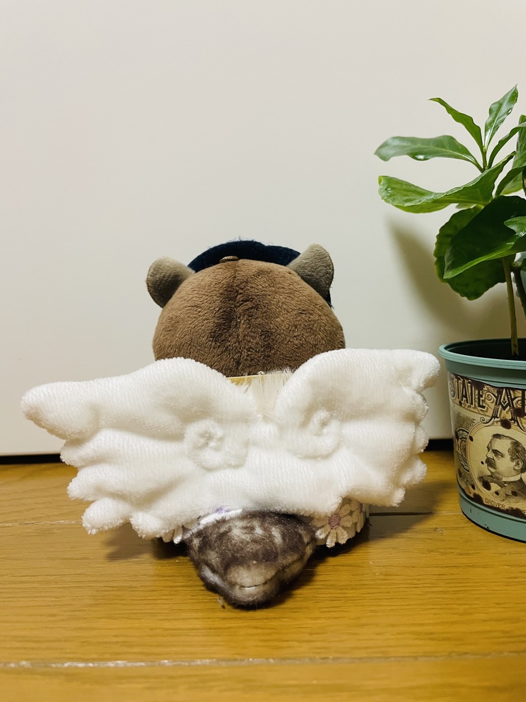 てんし〜꒰ঌ🤍໒꒱〜