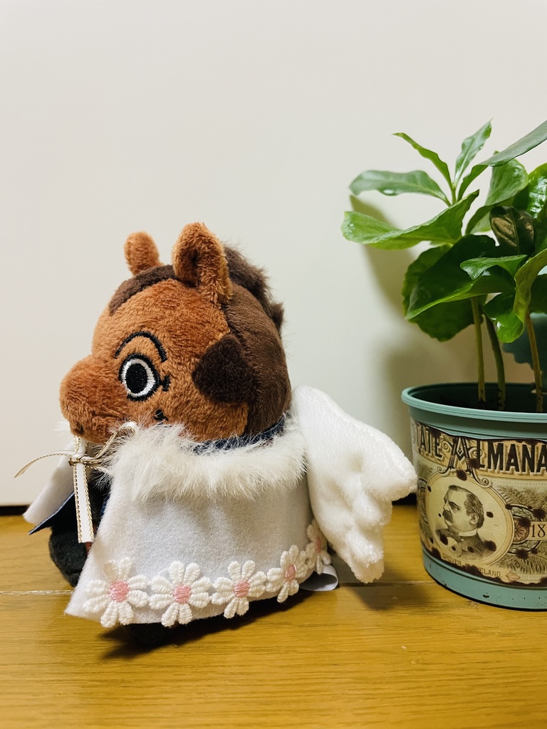 てんし〜꒰ঌ🤍໒꒱〜