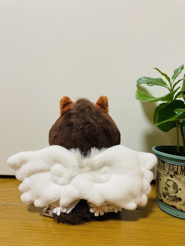 てんし〜꒰ঌ🤍໒꒱〜