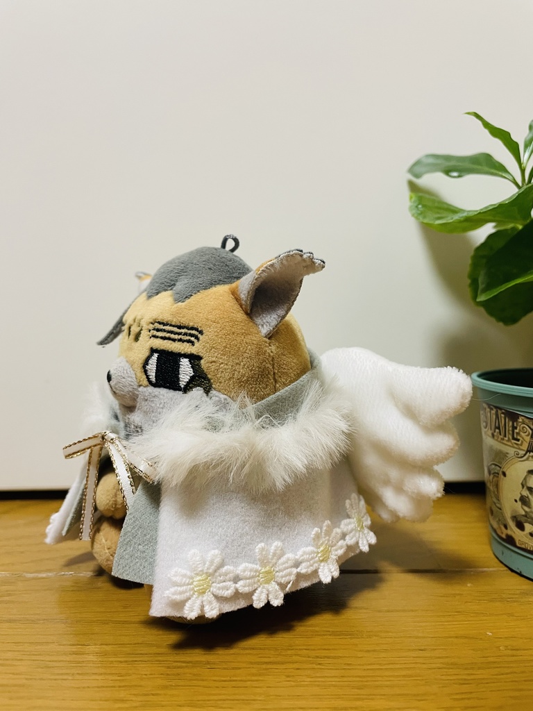 てんし〜꒰ঌ🤍໒꒱〜