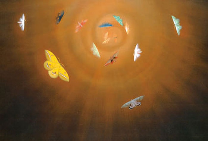 粧蛾舞戯 試作品