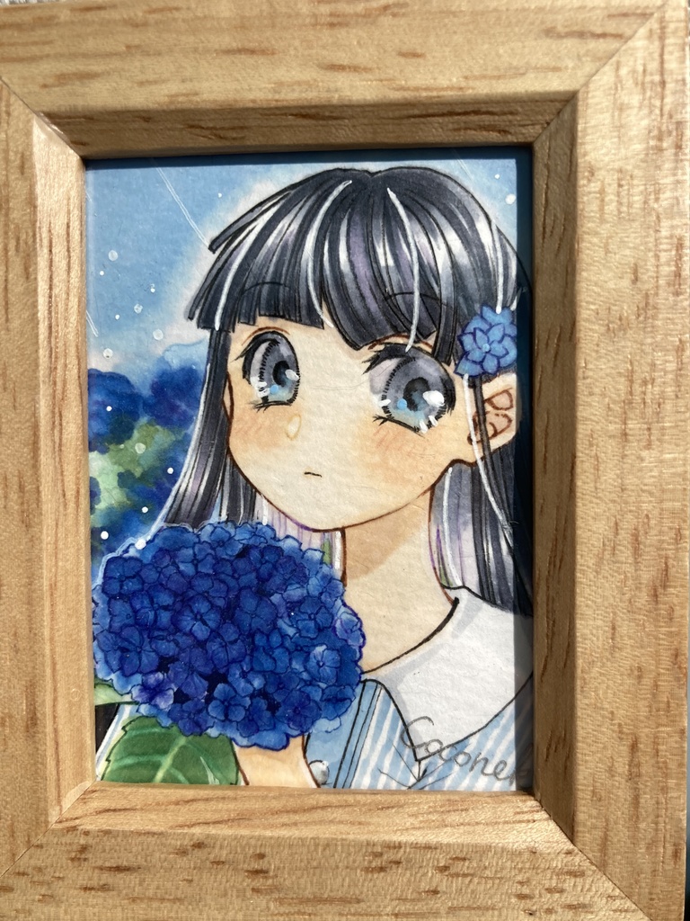 アジサイ