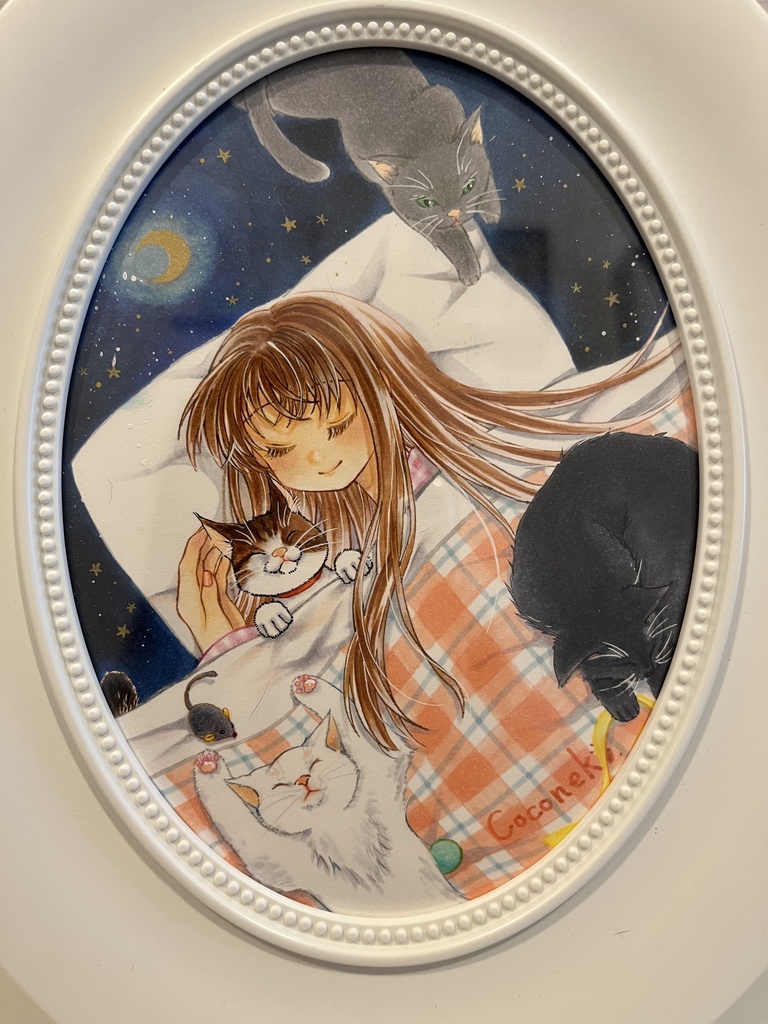 猫と一緒