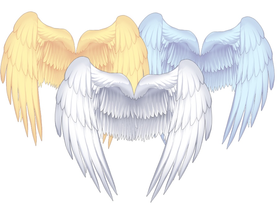 Live2Dモデル<天使の翼★鳥の羽>