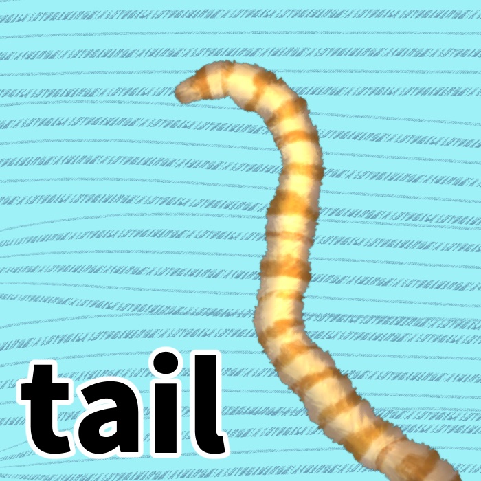 【Live2dアイテム】長いシマシマしっぽ 【動く】