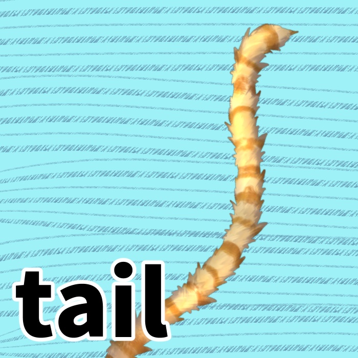 【Live2dアイテム】長いシマシマしっぽ 【動く】