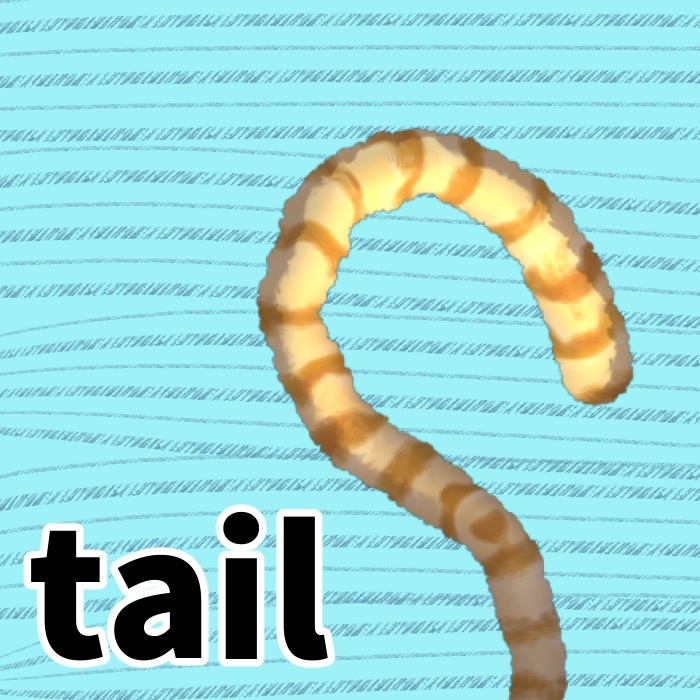 【Live2dアイテム】長いシマシマしっぽ 【動く】