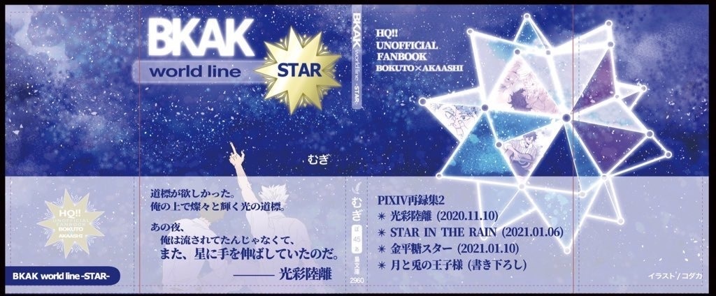 小説「BKAK world line STAR」
