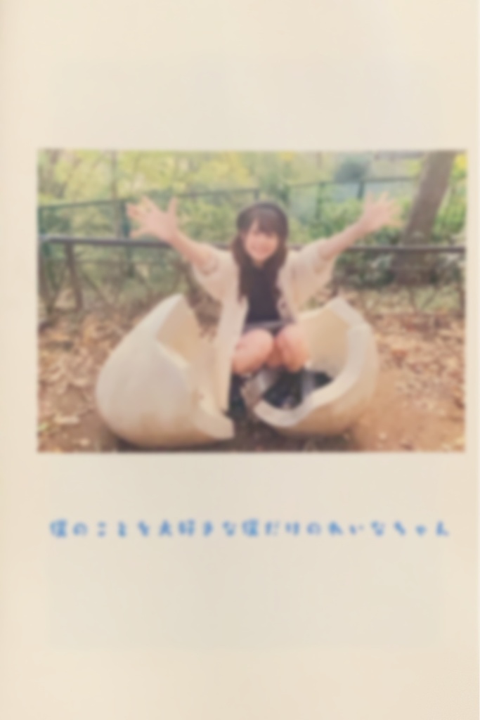 ミニフォトブック