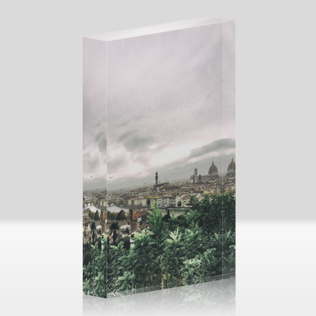 van picture フィレンツェの風景