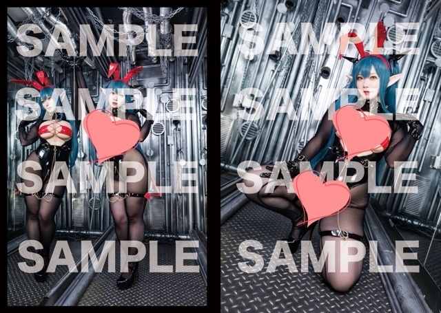 C106新刊 Wildes Heer