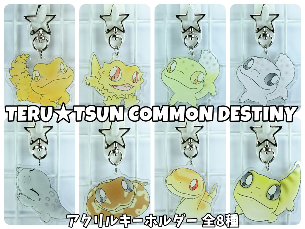 ボールパイソン 19ver アクリルキーホルダー Teru Tsun Common Destiny Booth