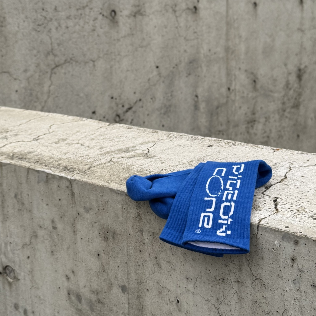 original logo socks ( WHT / BLU )