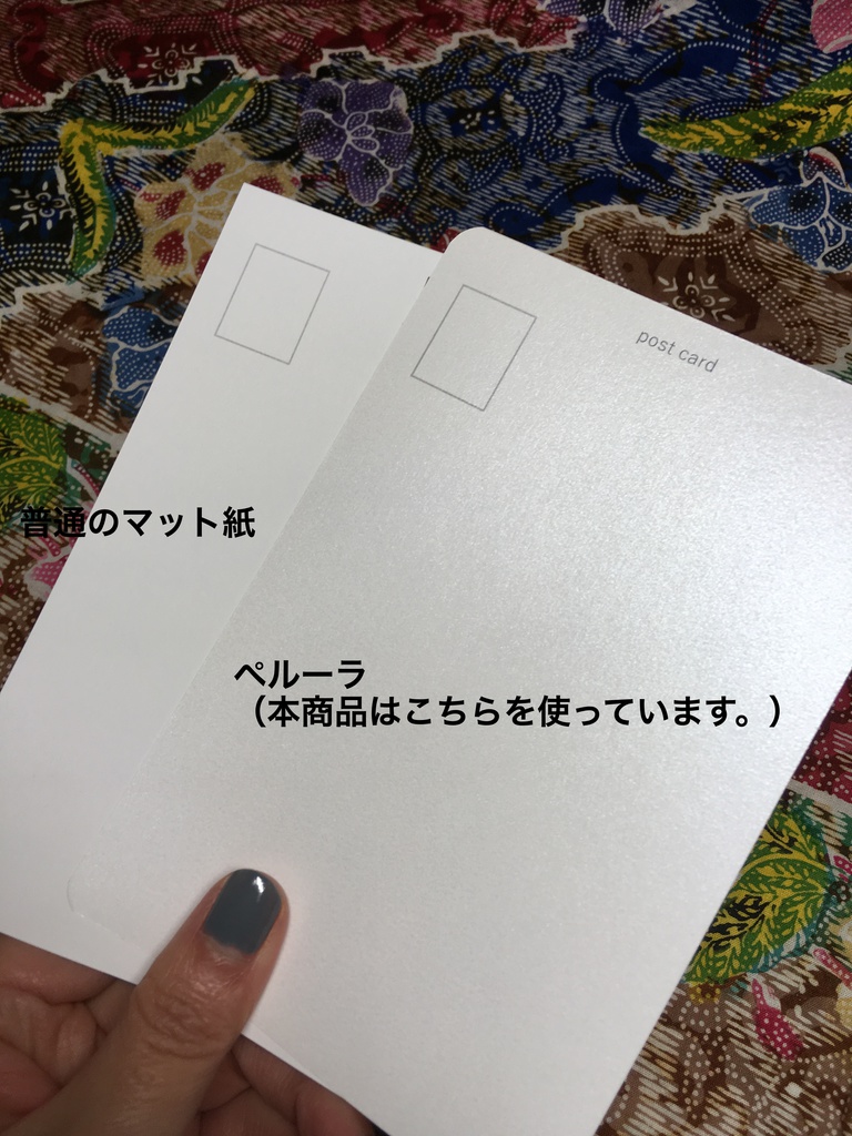 【CC大阪118】旅先で出会ったねこのポストカード(全9種)