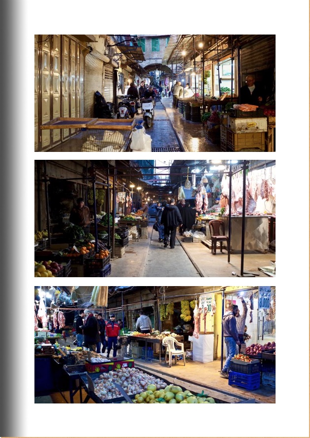 【CC大阪119新刊】K子の旅ログ・レバノン旅行で撮った写真