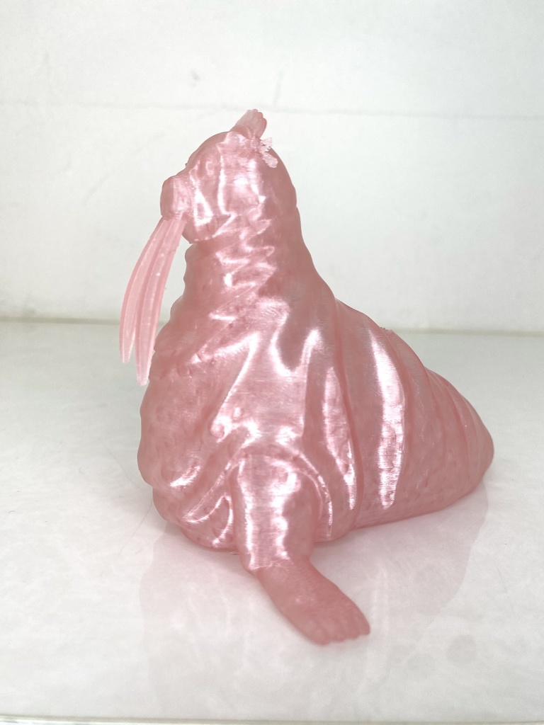 ヘッドドレスをつけたセイウチのマルチスタンド|3Dプリントデータ(STL)