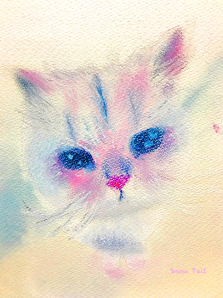 あっぷにゃんこリングノート