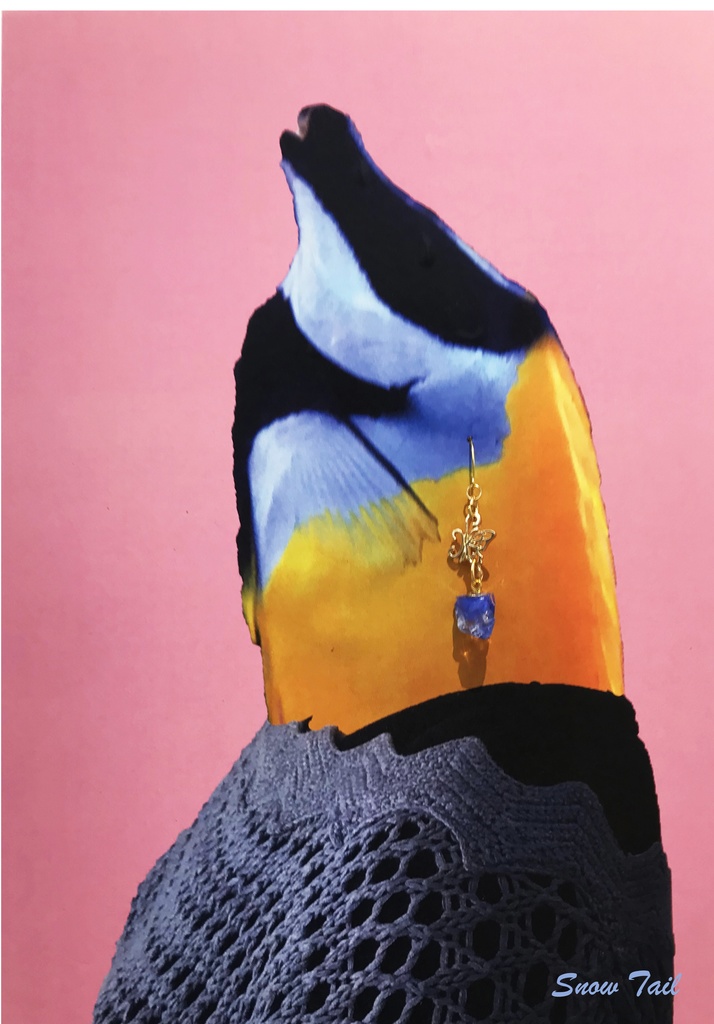 ピアス試着例D Tシャツ