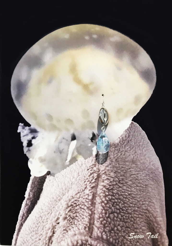 ピアス試着例A Tシャツ