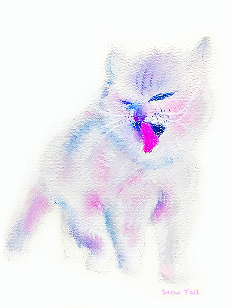 いかくにゃんこスウェット