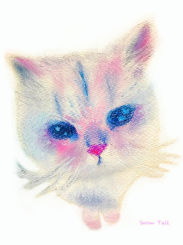 あっぷにゃんこスウェット